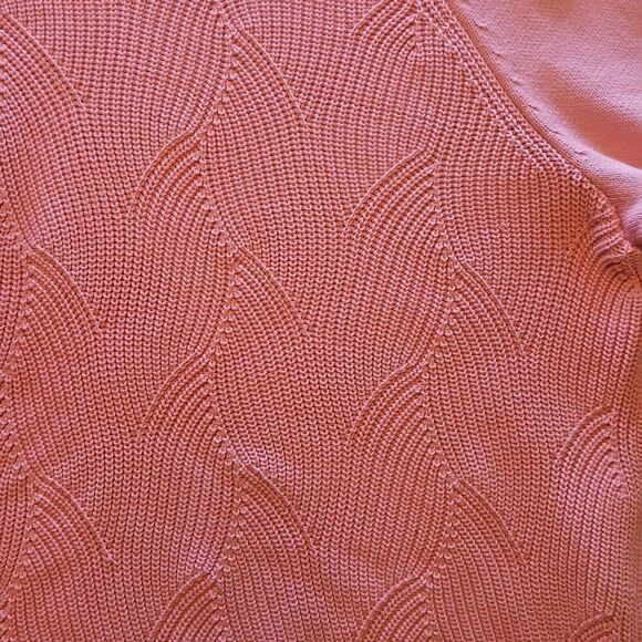 Talbot Pink and Warm Minimalist 2X Sweater 2021 - Picture 7 of 7
